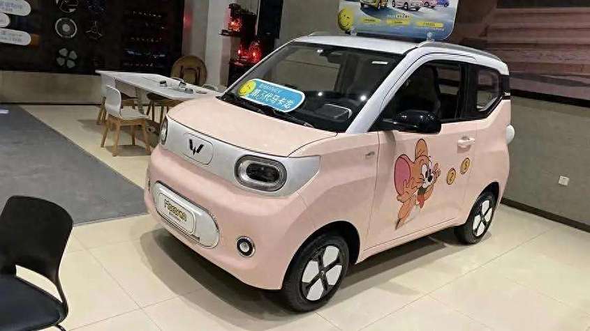 新能源车女士前十名截图