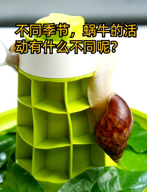 蜗牛休眠期多长时间截图