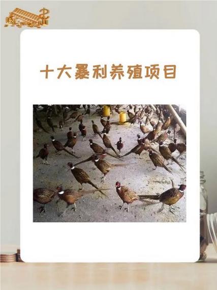 养殖项目推荐缩略图