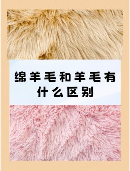 纯羊毛和绵羊毛有啥区别截图