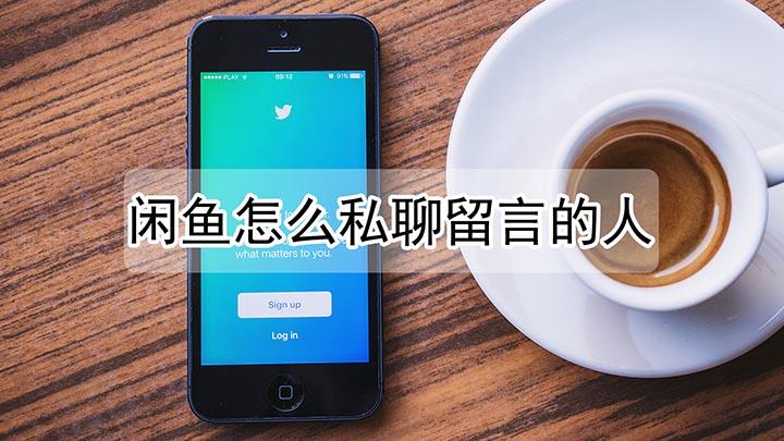 闲鱼留言可以私聊吗游戏截图