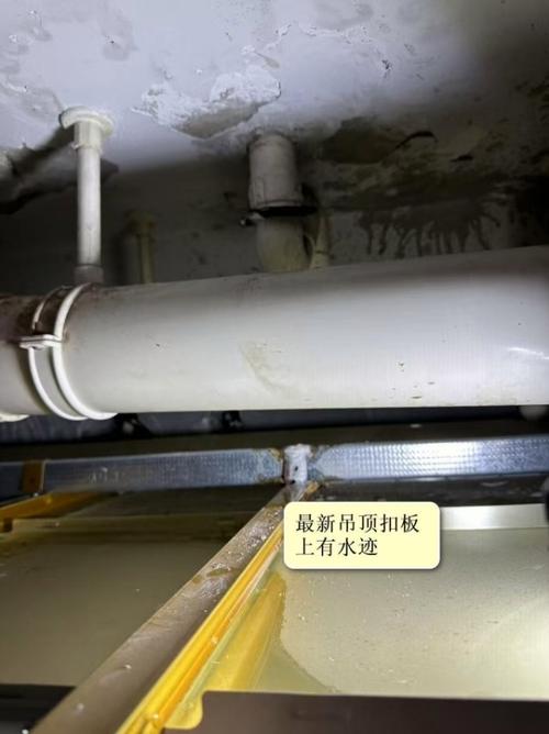 家里水泥地返潮严重怎么处理