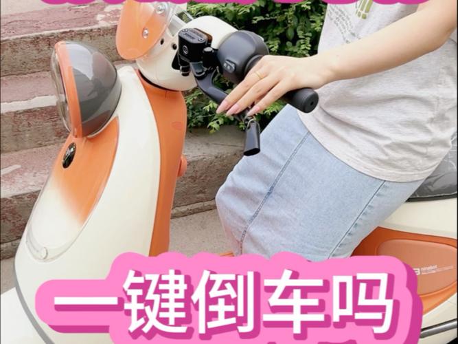九号有倒车功能吗图标