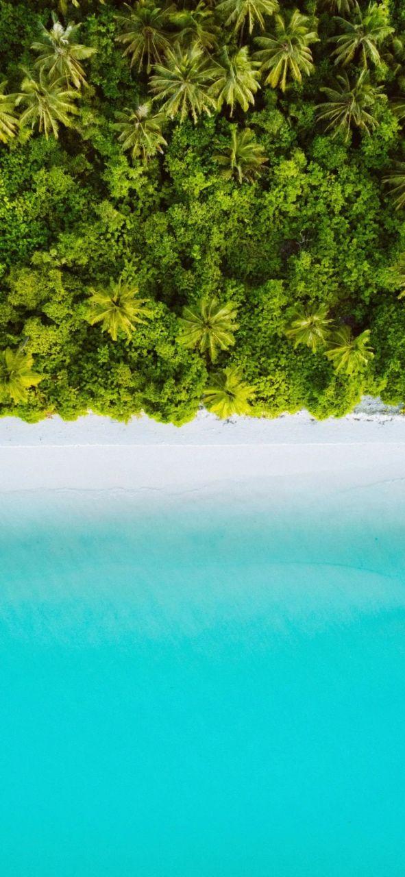 海蓝之谜背景