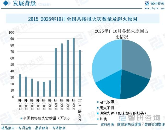 2025年防火年度总结报告