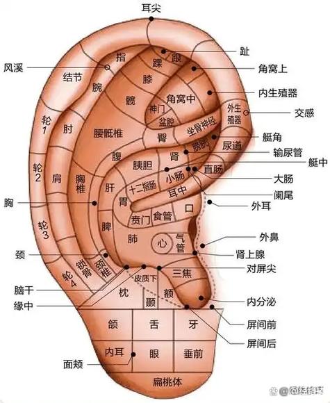 每日喷嚏图卦缩略图