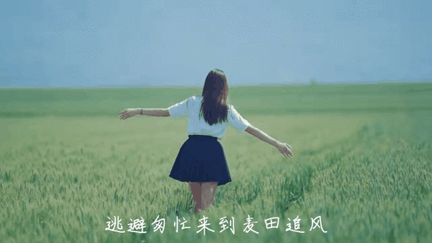 迎着风也跑向你