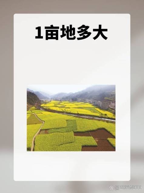 怎么量土地有多少亩