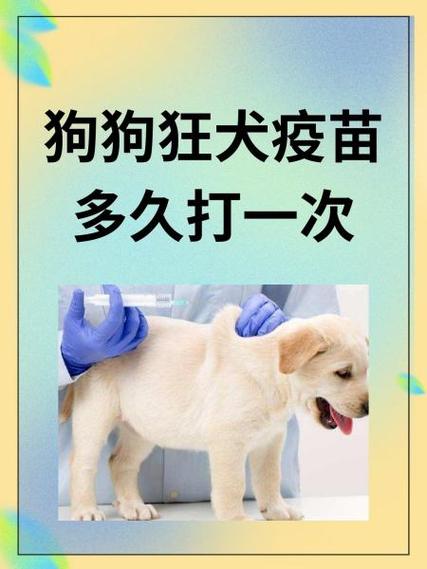 狂犬疫苗少打一针可以不