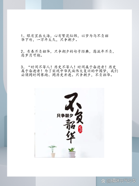 搭配不负韶华的句子