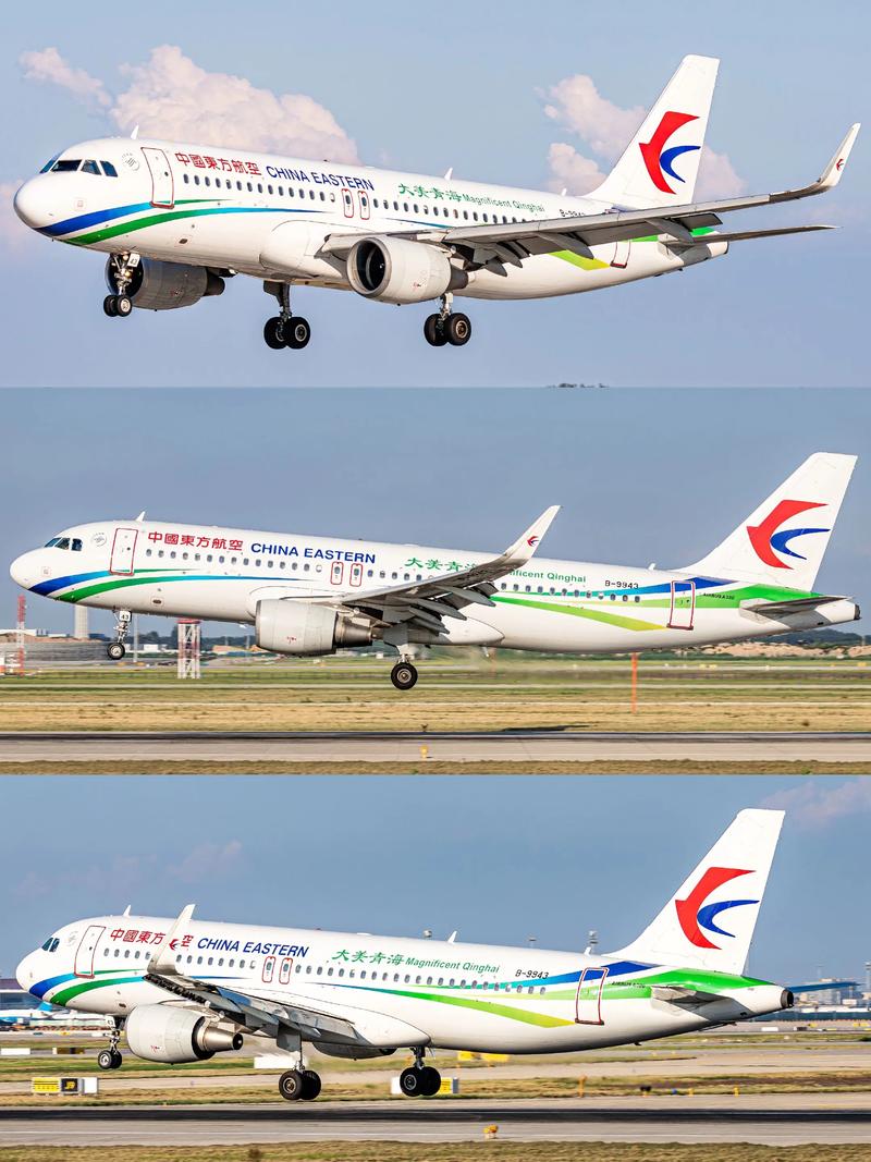 东美航空官方网站
