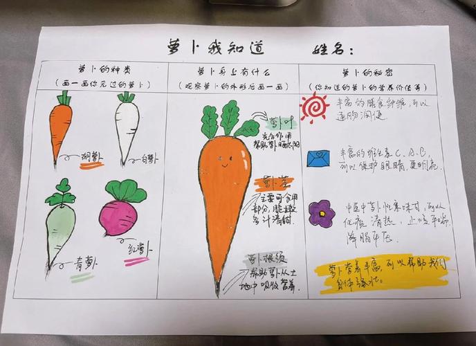保卫萝卜4主题一览表