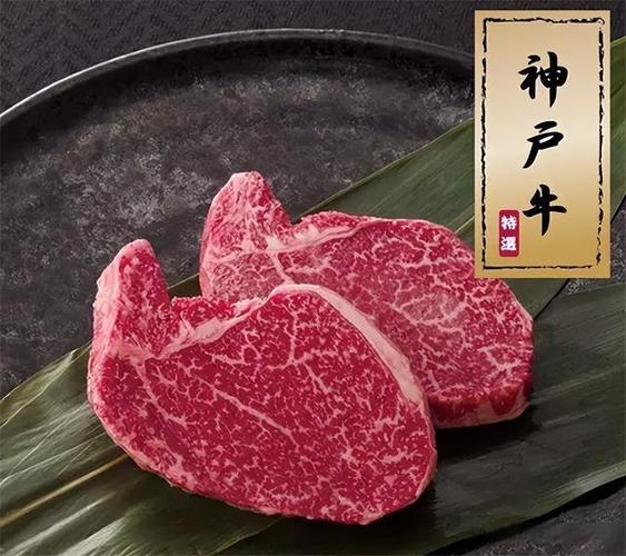 日本神户牛肉简介
