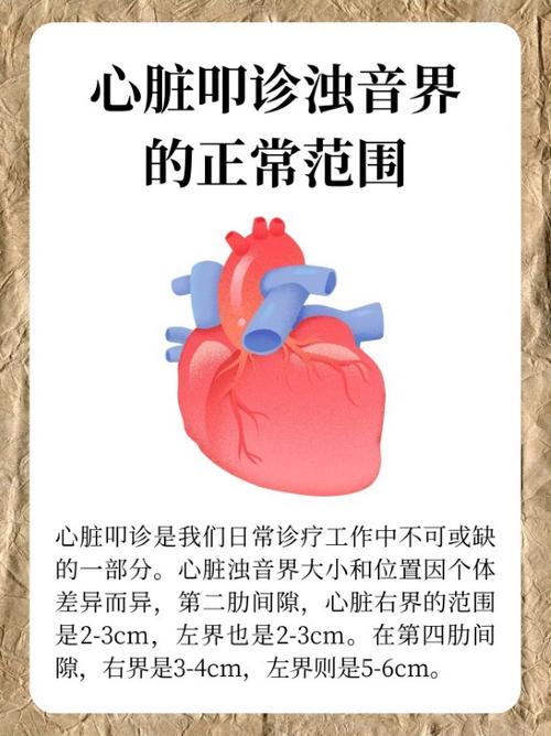 肝硬化肝浊音界图标