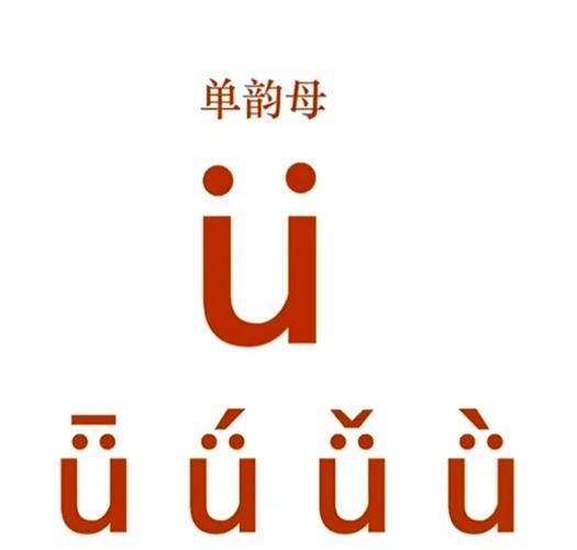 含韵母u的字缩略图