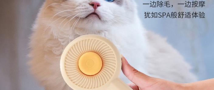 小魔猫