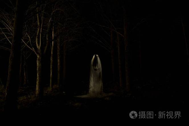 神秘的幽灵全集缩略图