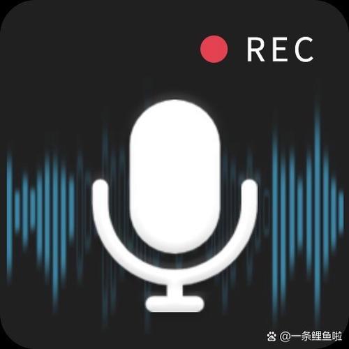 电话铃声和微信铃声同步吗