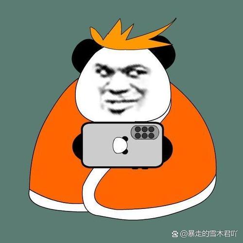 2017沙雕网红