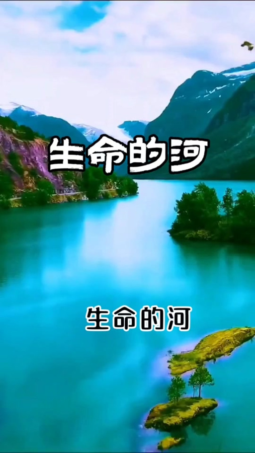 歌曲《生命的河》
