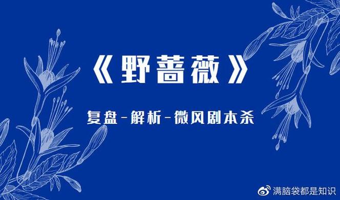 野蔷薇剧本杀绳子长度