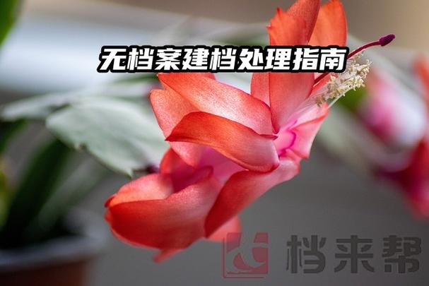无档案人员怎样建档