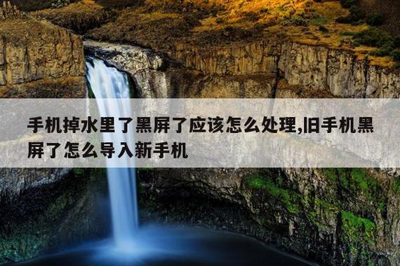 手机掉水里捞出后黑屏怎么办