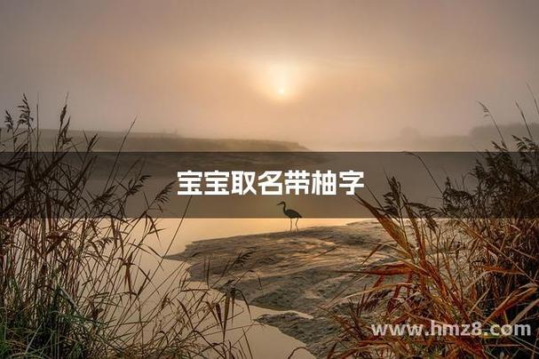 柚字好听稀少的名字