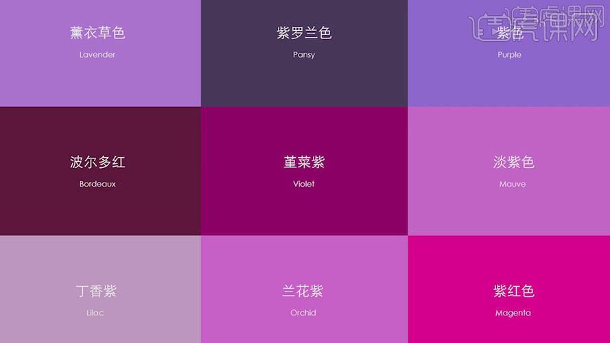紫色配色效果图大全