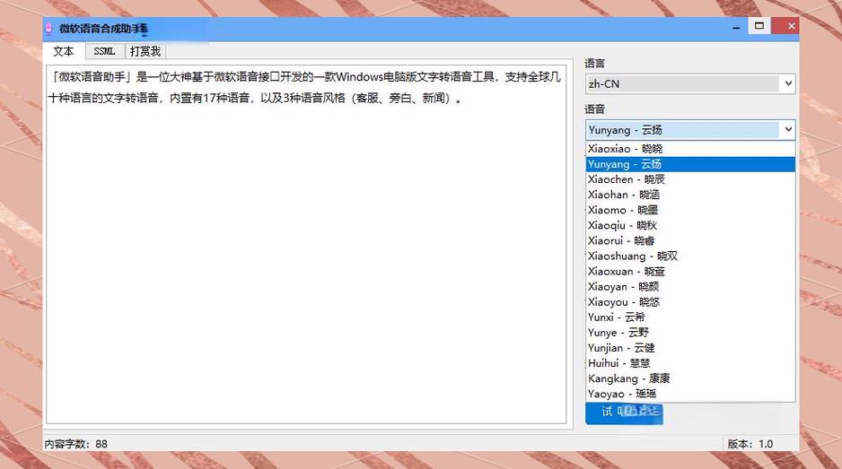 文字转语音引擎 英文图标