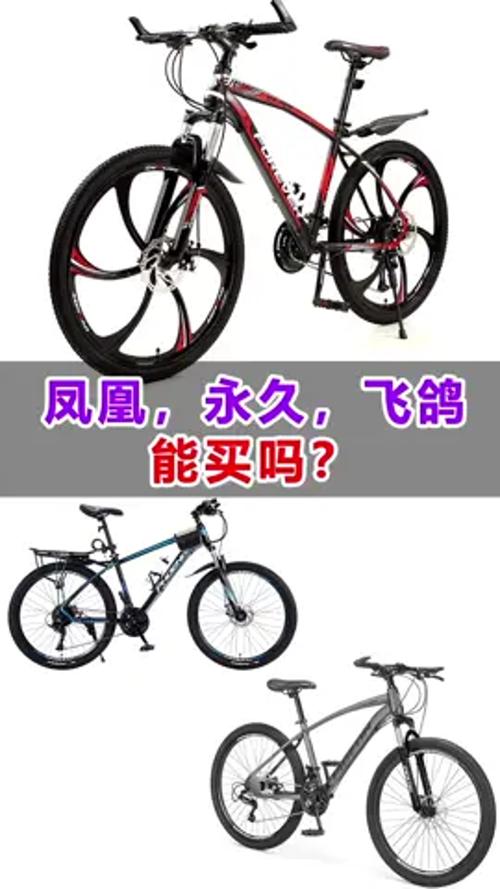 凤凰和飞鸽永久哪个品牌好