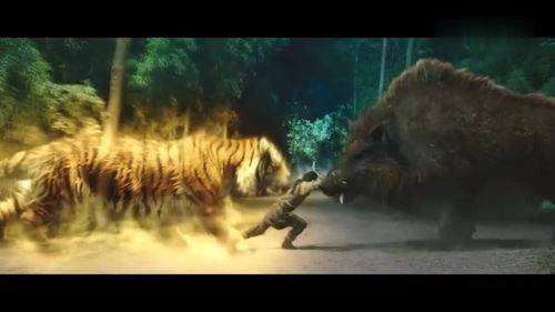 西游降魔篇野猪与老虎图标