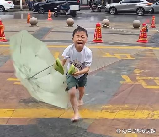 别人遗落的伞能捡吗截图