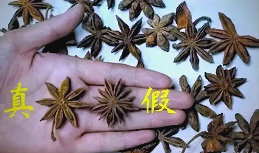 假八角是拿什么冒充的