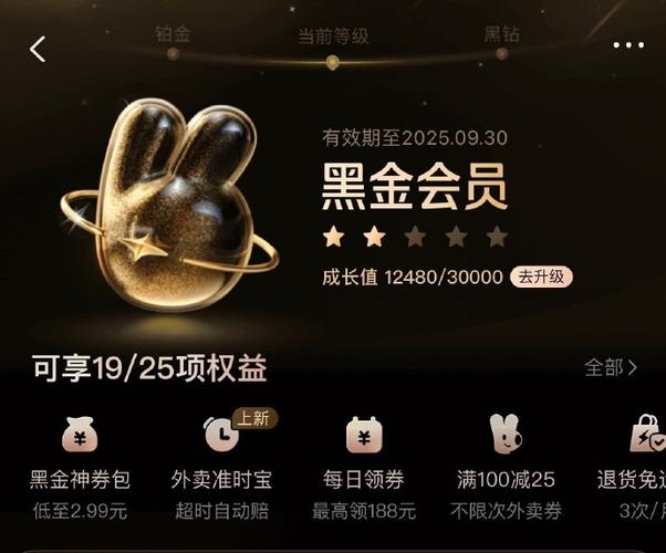 美团黑金会员是永久的吗游戏截图