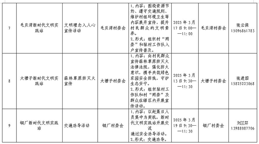 乡镇文化工作计划
