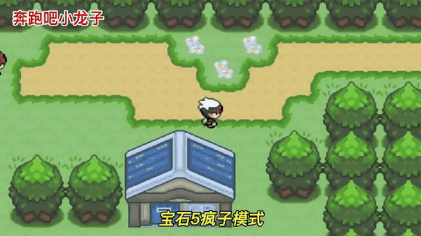 口袋妖怪永恒之沫第四个道馆在哪里
