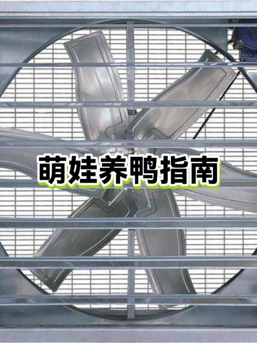 小鸭子容易得什么病