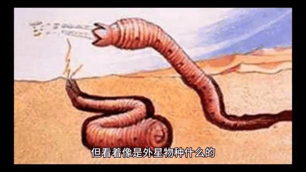 中国未解之谜29件怪事