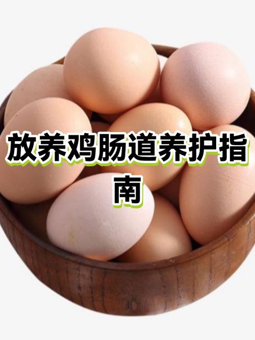 住宅周围50米内禁止养鸡吗