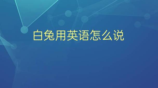 bunny是什么意思翻译成中文截图