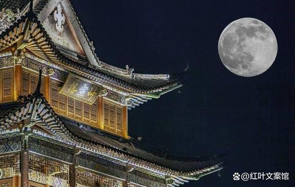 日往菲薇,月来扶疏