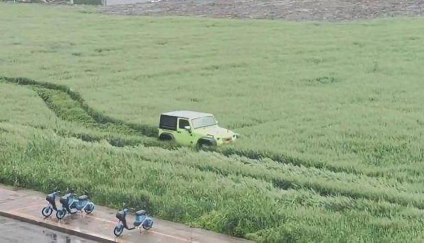 麦田车主靠谱吗截图