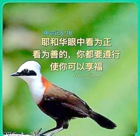 神的话能苏醒人心讲章