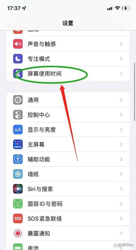 苹果手机儿童限制怎么解除截图