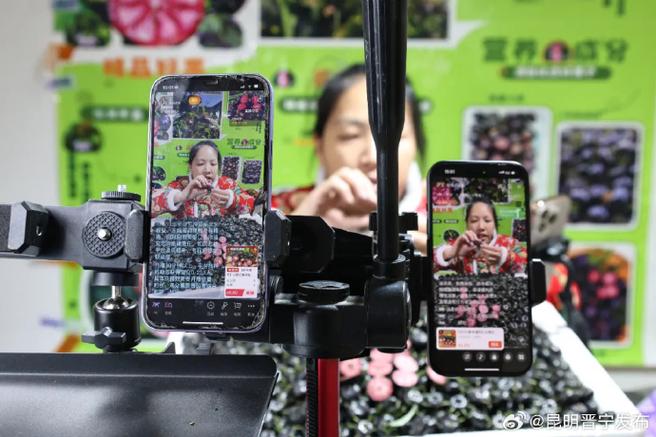 直播画质1200万截图