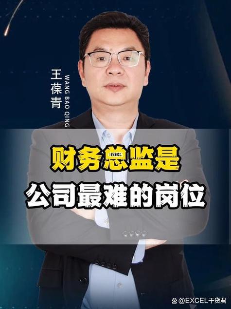 首席财务官和财务总监截图