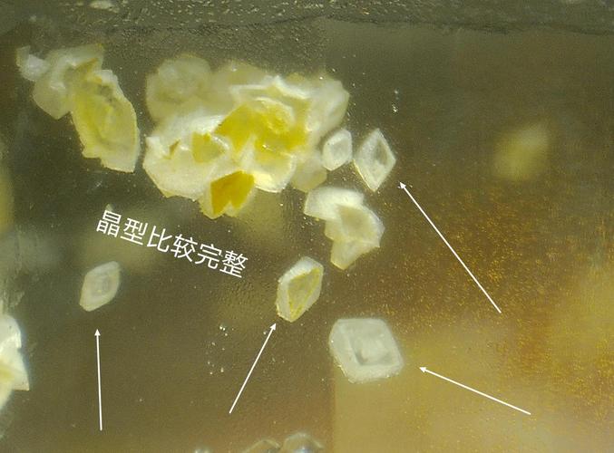 人工晶体能换第二次吗