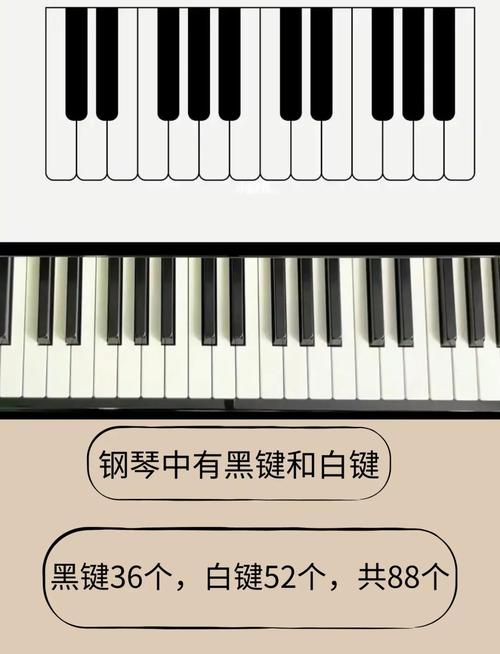 光遇的琴键是钢琴的哪个键截图