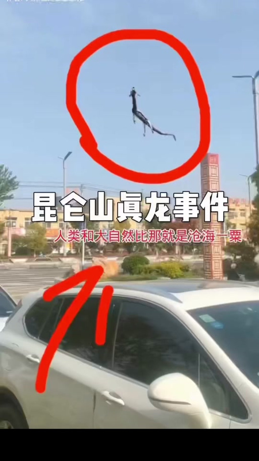 养龙达人封德翼